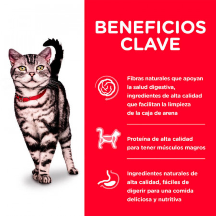 Felino mature indoor 1.6 KG, , large image number null
